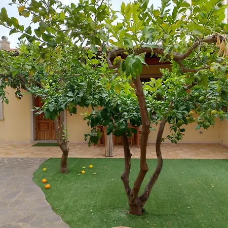 Casa Indipendente Casa vacanze Arzachena